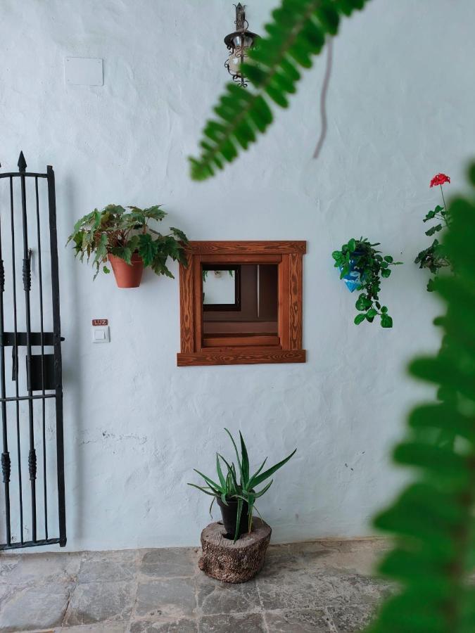 Casa Leonor Vejer *